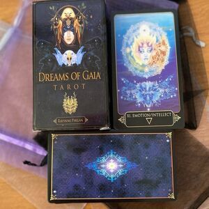 Dreams of Gaia Tarot Deck  81 Tarot Card Deck - NEW